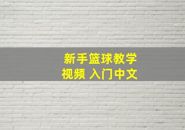 新手篮球教学视频 入门中文